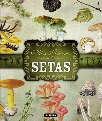 Atlas Ilustrado De Setas - Vv.aa