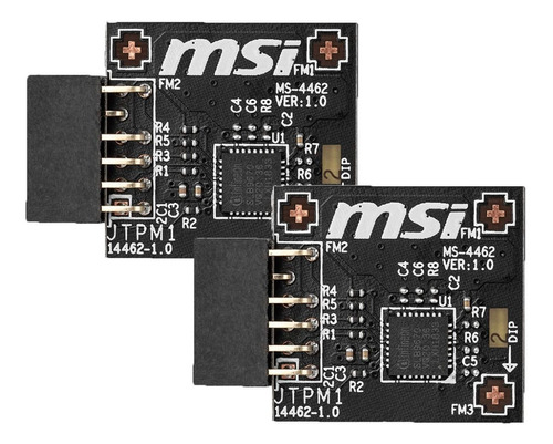 Msi Tpm Modulo Spi Pin Infineon Para Intel Serie Amd