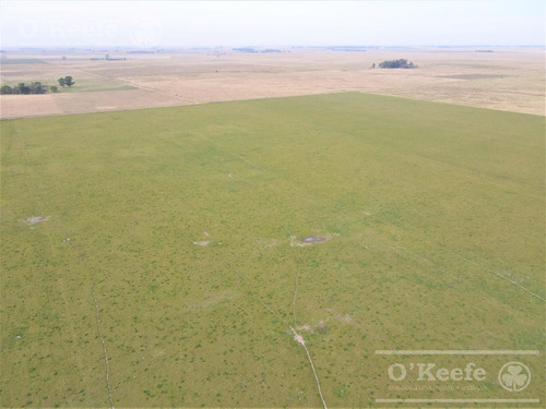 Imagen 23 de 29 de Campo Mixto De 170 Has En San Vicente. Oportunidad!