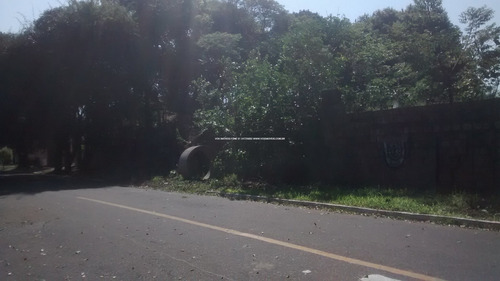Imagem 9 de 15 de Terreno - Sao Jose - Ref: 46989 - V-46989