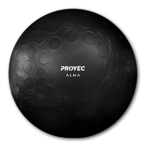 Imagen 3 de 6 de Alma Acqua Ball 35 Cm 9 Kg Esferodinamia Suiza Fitnes Proyec