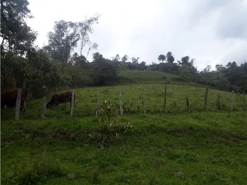 Vendo O Permuto Finca En Junin Cundinamarca