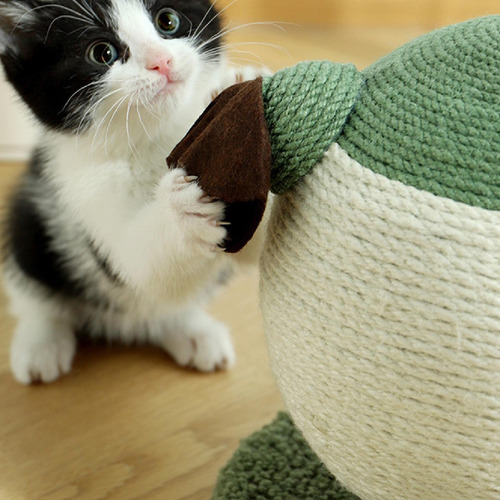 Cat Scratching Ball Cat Scratcher Training Para Conveniente