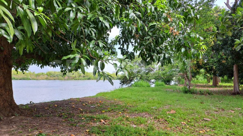 Terreno Venta Jiménez Nacajuca Tabasco
