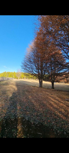 Sector Cerro Galera, Coyhaique (71829)