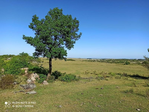 Se Venden 236 Hectáreas, Sobre Ruta 7, Entre Batlle Y Ordóñez Y Valentines. Campo De Sierra, Con Aptitud Ganadero Forestal.