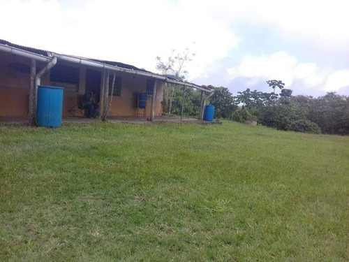 Imagen 1 de 14 de Venta Finca 67 Hectáreas Nigua Yaracuy Oportunidad Cod. 8973