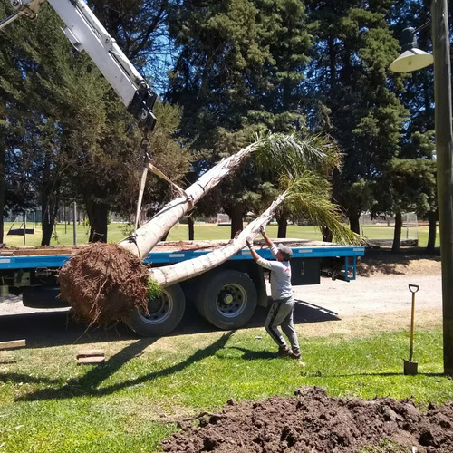 Servicio De Hidrogrua Y Transporte. Corte De Pasto De Campos