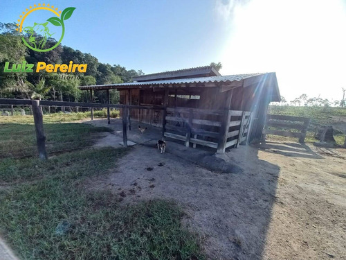 Imagem 15 de 15 de Fazenda À Venda Em Pacajá - Pa - 968 Hectares (pecuária) - 1996