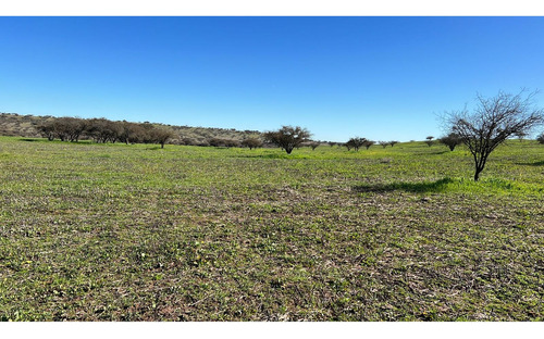 Excelente!! Parcelas De 5.000 M2 Con Rol Propio En "lom