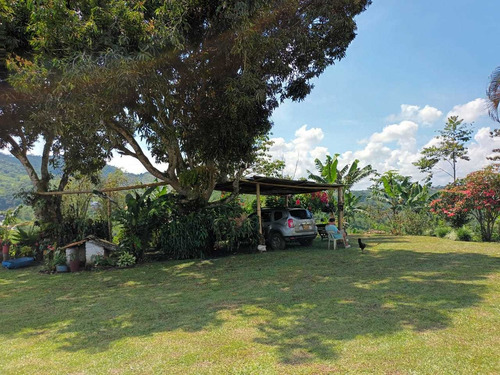 Imagen 19 de 30 de Venta De Finca En Pereira Vereda Combia .