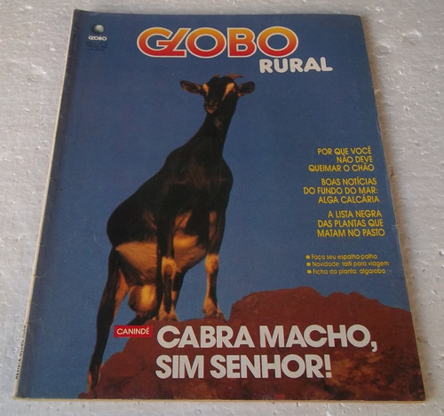 Revista Globo Rural Nº 28 - Janeiro  De 1988