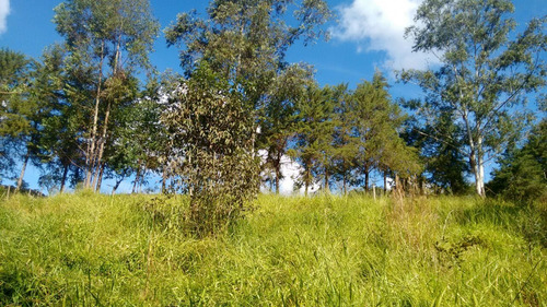 Sitio Com 50.000 Metros Quadrados Em Caxambu Sul De Minas , 09 Klm Da Cidade, Muita Água,bom Para Piscicultura, 03 Lagos Com Peixe. - 246