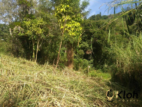 Imagem 6 de 13 de Terreno À Venda No Bairro Morin - Petrópolis/rj - 2944373063675