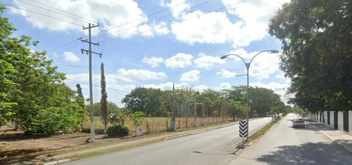 Imagen 5 de 25 de Terreno Sobre Avenida De Cuatro Carriles En Yucatán $320m2 -142m De Frente -71298m2- Tizimín