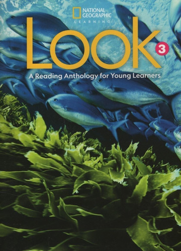 American Look 3 - Reading Anthology