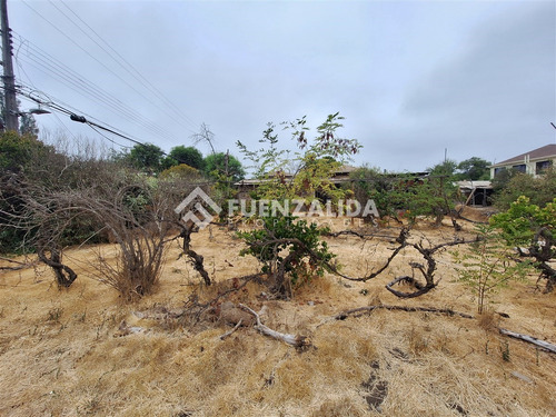 Terreno Construccion En Venta En Peñaflor