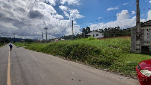 Imagem 2 de 9 de Terreno - Sao Defende - Ref: 37140 - V-37137