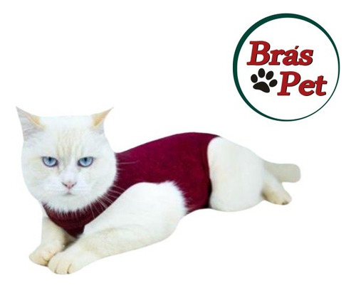 Roupa N4 Pós Cirúrgica Castração - Gatos - 5 Á 6,5kg