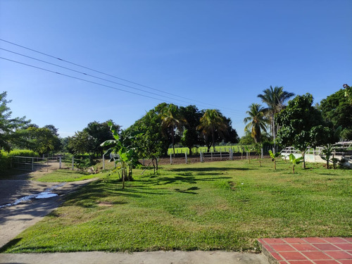 Estado Barinas Se Vende Finca Ganadera Yep11