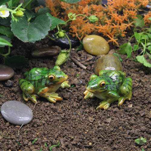 Estatua De Paisaje De Rana Sapo Sapos Anfibios Ranas