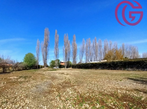 Imagen 3 de 12 de Greenwood Inmobiliaria Vende Ultimo Lote Disponible En Barrio Rincon Cepas De Malbec - Vistalba