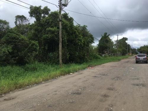 Terreno De Chácara À 1km Da Rodovia (mx)