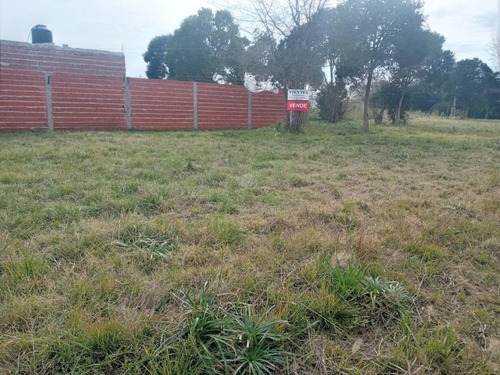 Imagen 1 de 3 de Terreno - Barrio El Cazador