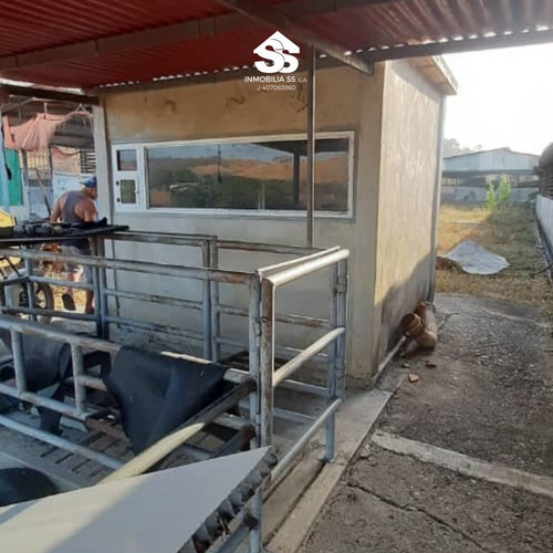Finca En Venta - Guárico - Granja De Porcina