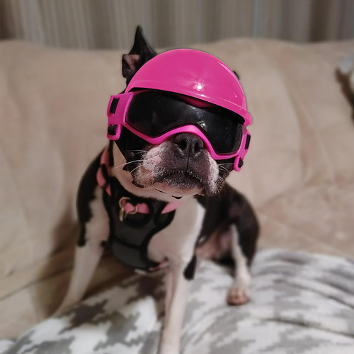Casco Para Perro Petleso Con Gafas Lentes Anti-uv Modelo 202 Rosado