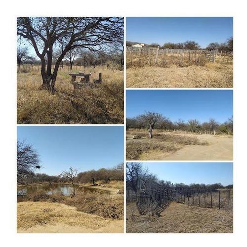 Imagen 8 de 19 de Campo Ganadero Y De Siembra En Venta En Lafinur, Provincia De San Luis