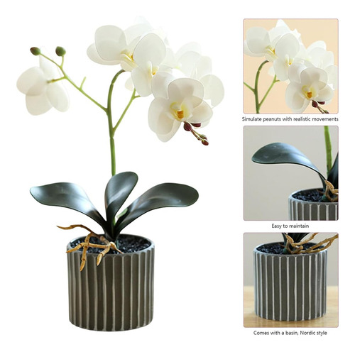Planta De Orquídeas Artificiales De Altura Realista