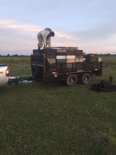 Imagen 14 de 17 de Trailer Para Pallet O Cajones 3.500kg Doble Eje Nuevos