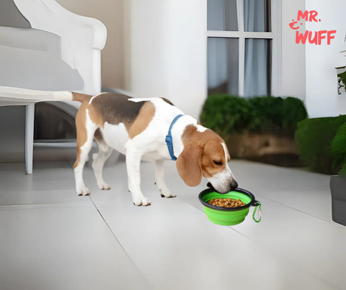 Plato Comedero Perro Plegable Interactivo Grande Mr Wuff Color Verde