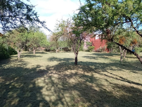 Venta De Lote Ideal, Bº Nuevo Merlo, Con Gas Natural.
