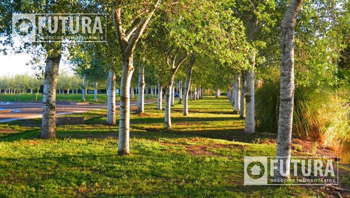 Imagen 8 de 19 de Terreno En Venta En Barrio Privado Pinares Del Sur Lote 63