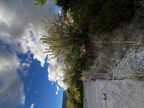 Terreno En Trevelin