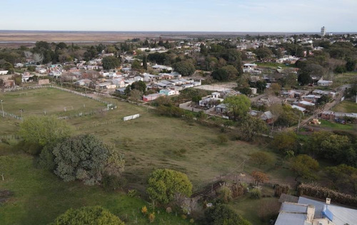 Imagen 10 de 14 de Terreno De 5.500 M2 En Zona De Quintas, Excelente Oportunidad