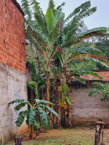 Terreno 9x15