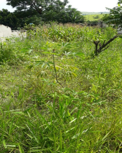 Imagem 2 de 5 de Terreno Para Venda - 2760