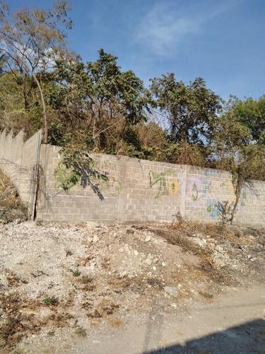 Imagen 4 de 18 de Terreno En Venta 560 Mts. Loma Larga (satelite)