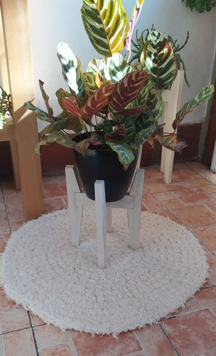 Alfombra Redonda De Algodón Tejidas. Diámetro 80 Cm