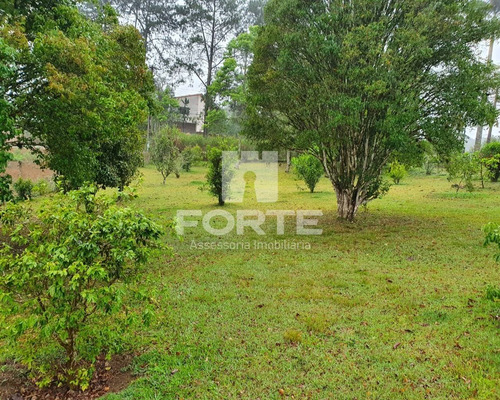 Imagem 22 de 30 de Chacara - Ch00001 - 68880531