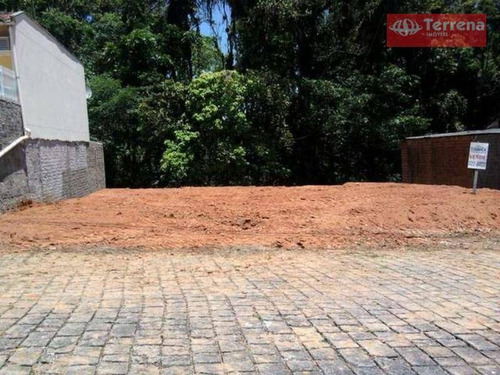 Imagem 1 de 6 de Terreno Residencial À Venda, Escola Agrícola, Blumenau - Te0001. - Te0001
