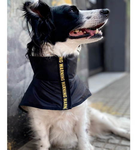 Imagen 6 de 9 de Piloto Tipo Capa Impermeable Perro Lluvia. Talles Grandes