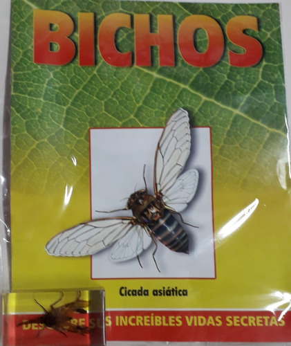 Bichos Cicada Asiatica  + Fasciculo - Rba