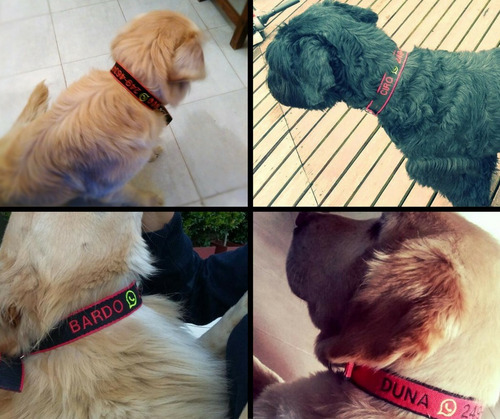 Imagen 9 de 9 de Collar Bordado Personalizado En 3 Cm De Ancho Pet Id