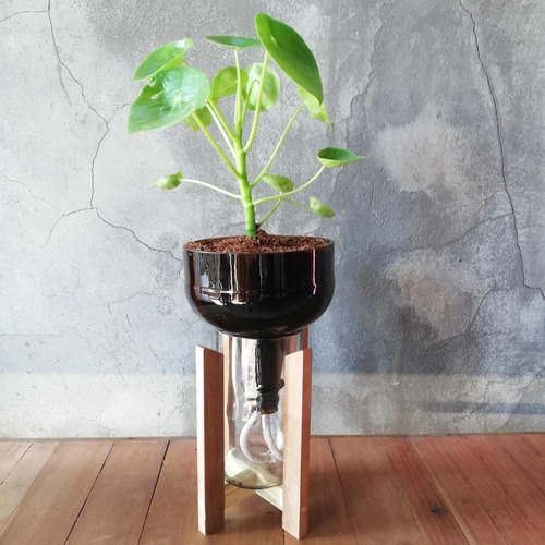 Cuchara Little Plant 27 Con Soporte, Maceta Autorregante