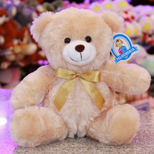 Oso Everbear Edition 23 Cm Pelucheria Internacional Color Café