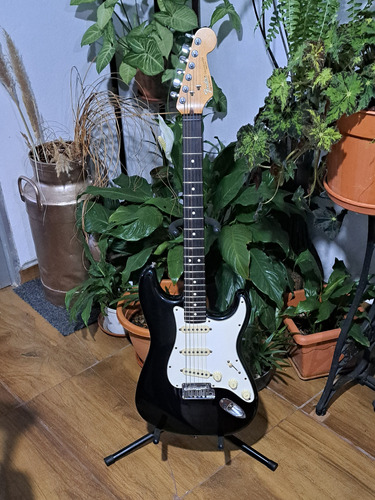 Fender Stratoaster Standar Usa